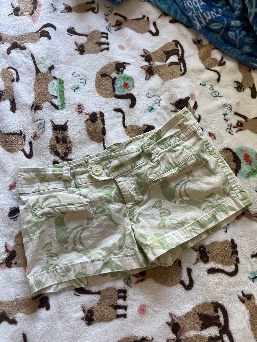 Vintage Low Rise AE Shorts